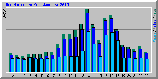 Hourly usage for January 2015